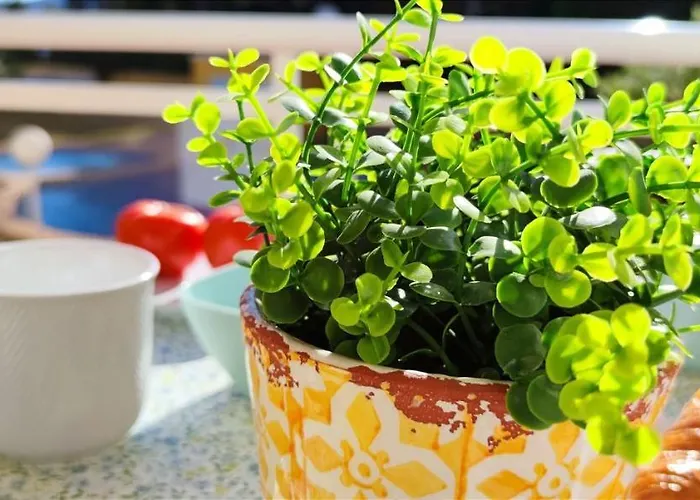 El Sueno Appartement